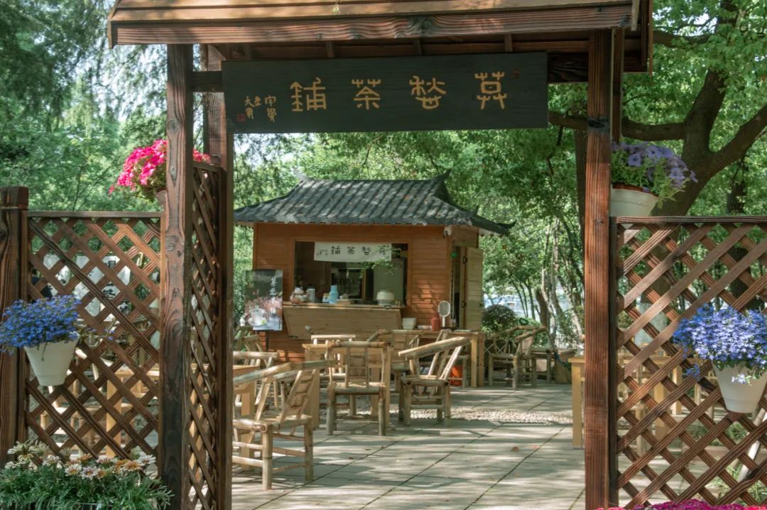南哥”官宣：免费！AG真人app“(图4)